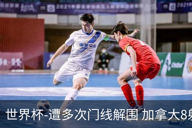世界杯-遭多次门线解围 加拿大8射4正半场暂0-0南非